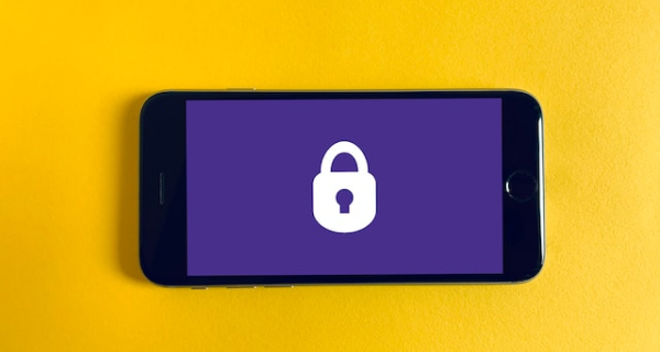 Sicurezza in internet